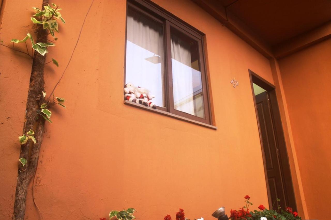 Residencial Dom Celeste Canela Oda fotoğraf